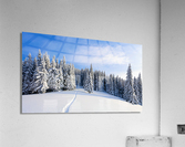 Winter landscape with fair trees under the sn  Acrylic Print
