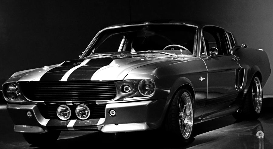 Ford shelby mustang  Print