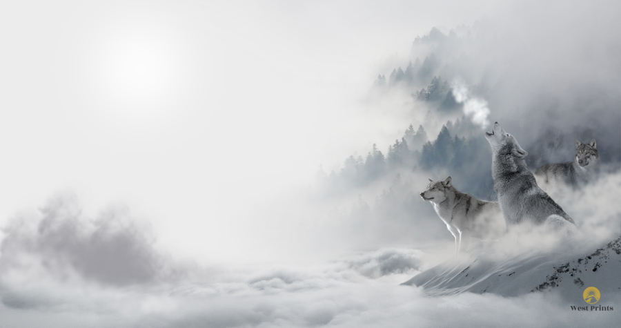 Wolves Howling in Morning Fog  Print