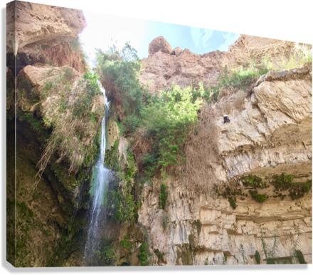 King Davids Waterfall Israel  Canvas Print