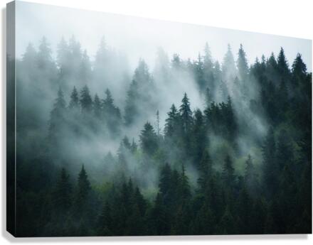 Foggy Moutain  Forest  Canvas Print