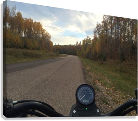 Harley country road  Canvas Print