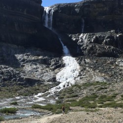 Bow Falls at Bow Lake Alberta