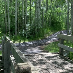 Calgary Path