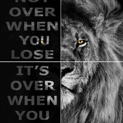 Motivational Lion B&W