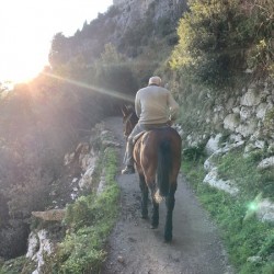 Man on Donkey Almafy Coast Italy