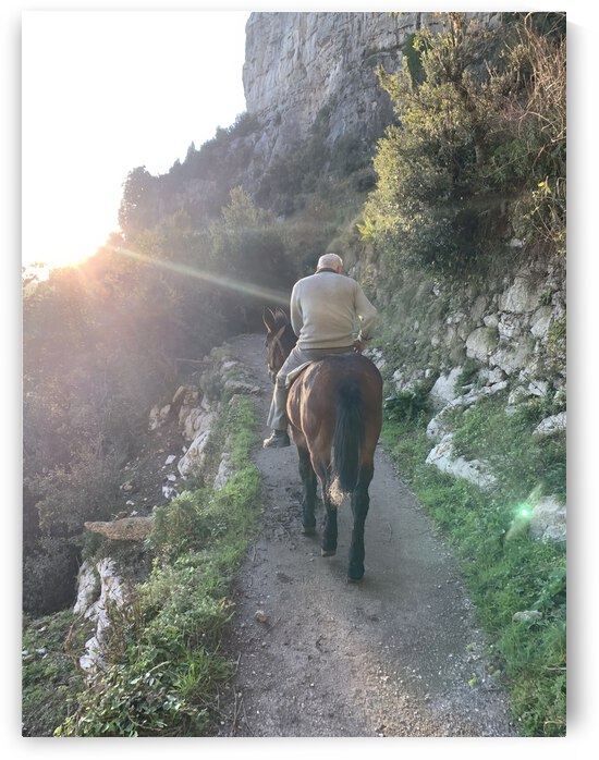 Man on Donkey Almafy Coast Italy by JesseLeonard