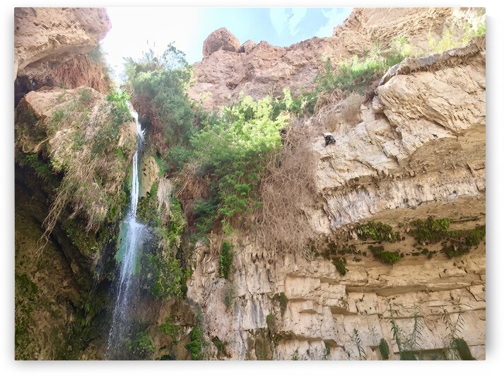 King Davids Waterfall Israel by JesseLeonard
