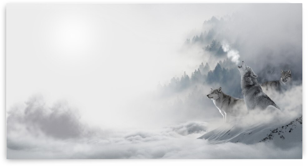 Wolves Howling in Morning Fog by JesseLeonard