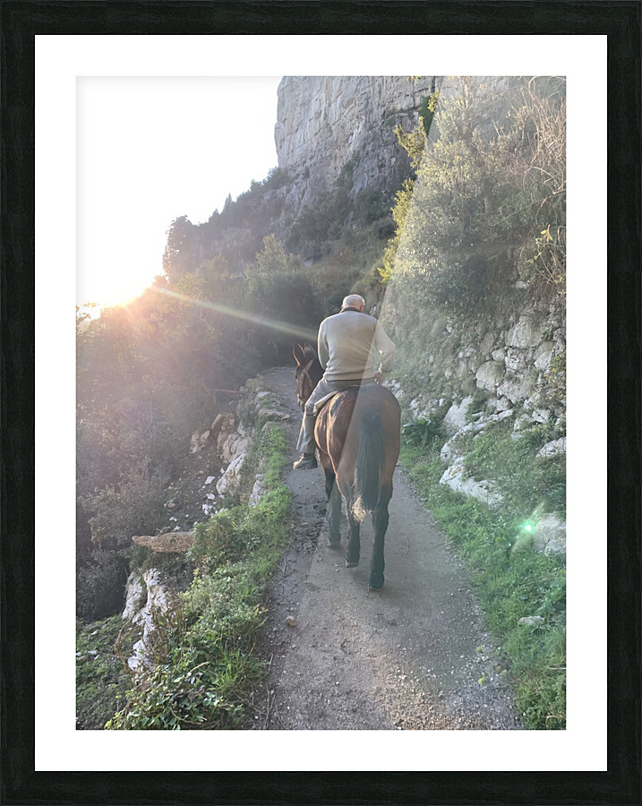 Man on Donkey Almafy Coast Italy  Framed Print Print