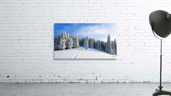 Winter landscape with fair trees under the sn by JesseLeonard