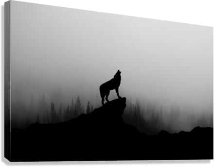 Lone Wolf Howling in Fog  Impression sur toile