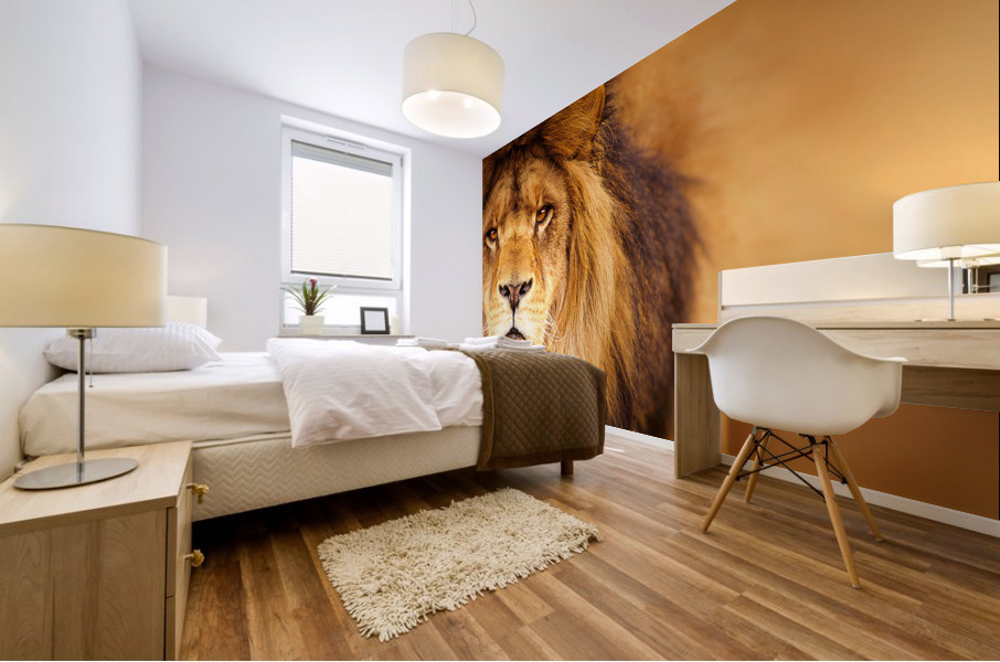 Lion Impression murale